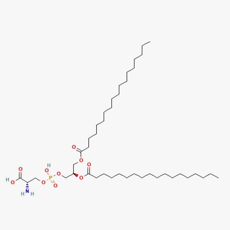 Phosphatidylserine molecular structure — WHYZ Bulk Ingredients