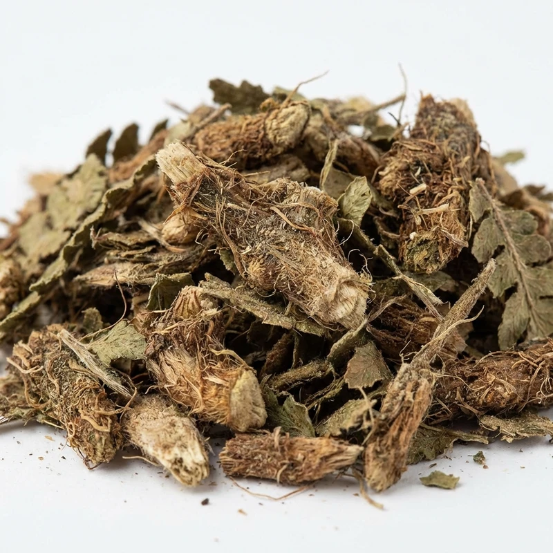 Polypodium vulgare — bulk ingredient