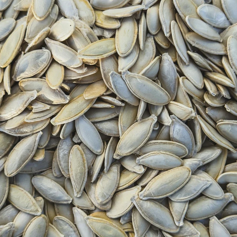 Pumpkin Seeds — natural source material