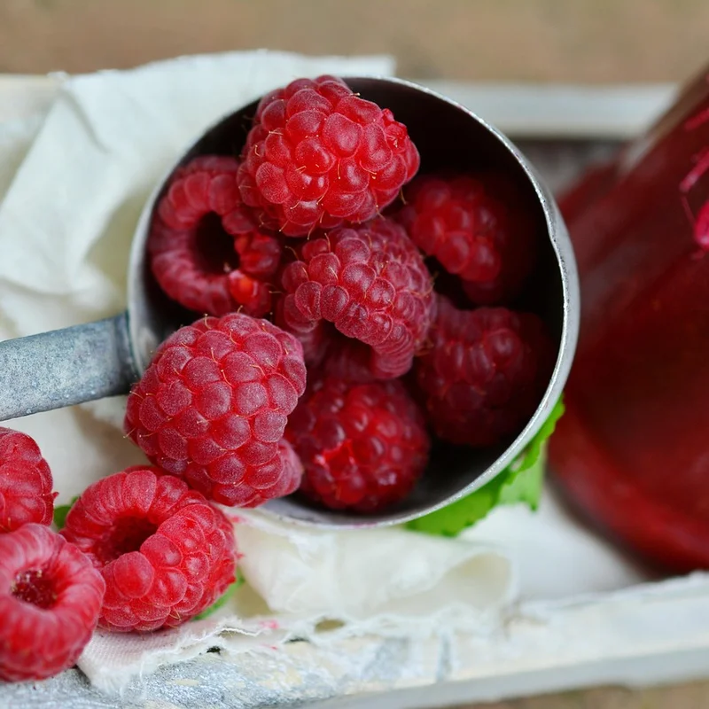 Raspberry Ketone — natural source material