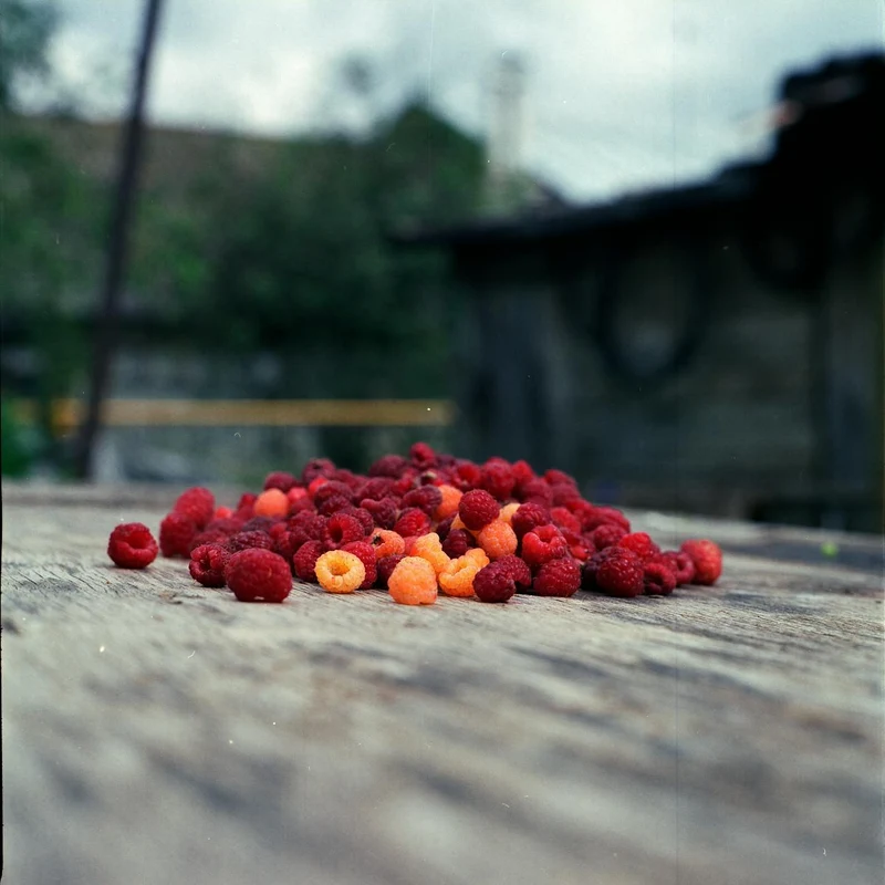 Raspberry Ketone — natural source material