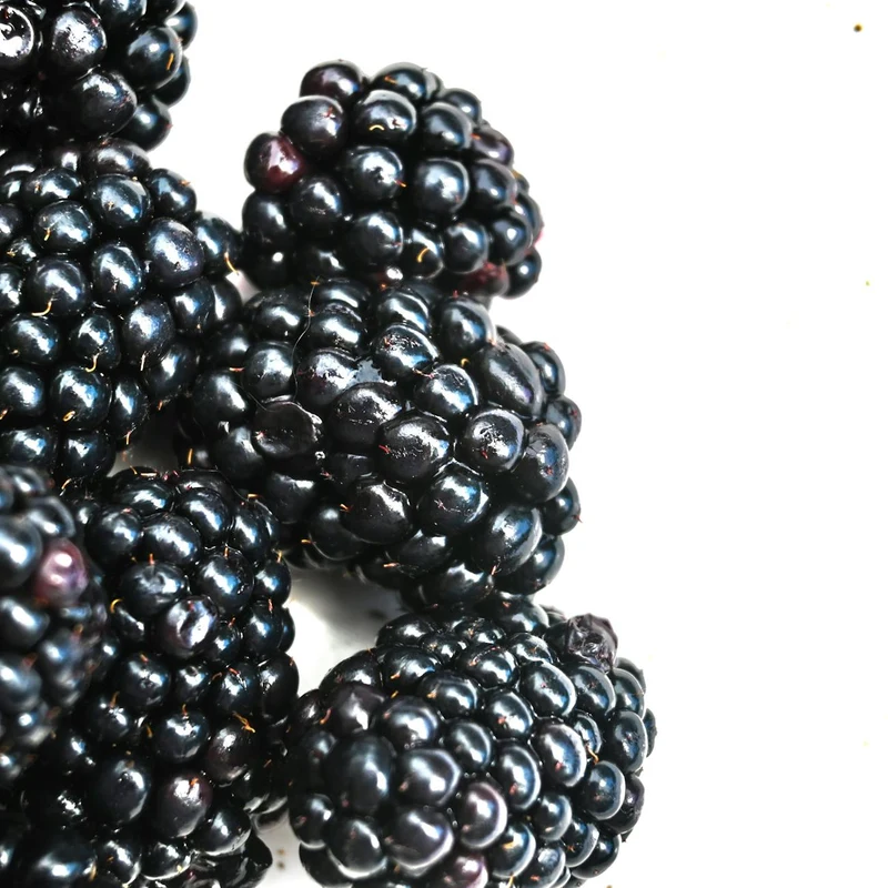 Rubus Chingii Root Extract — natural source material