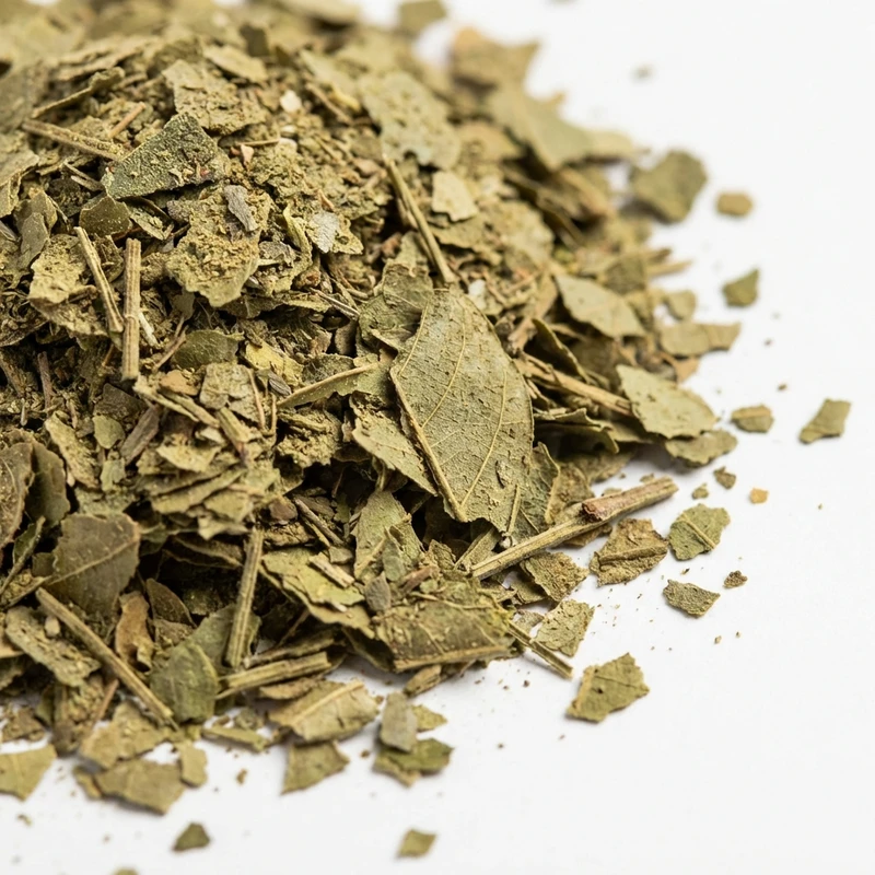 Senna Leaf Extract — bulk ingredient
