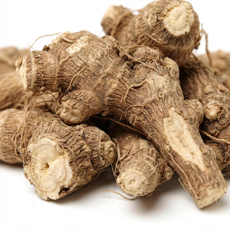Shatavari Root — bulk ingredient