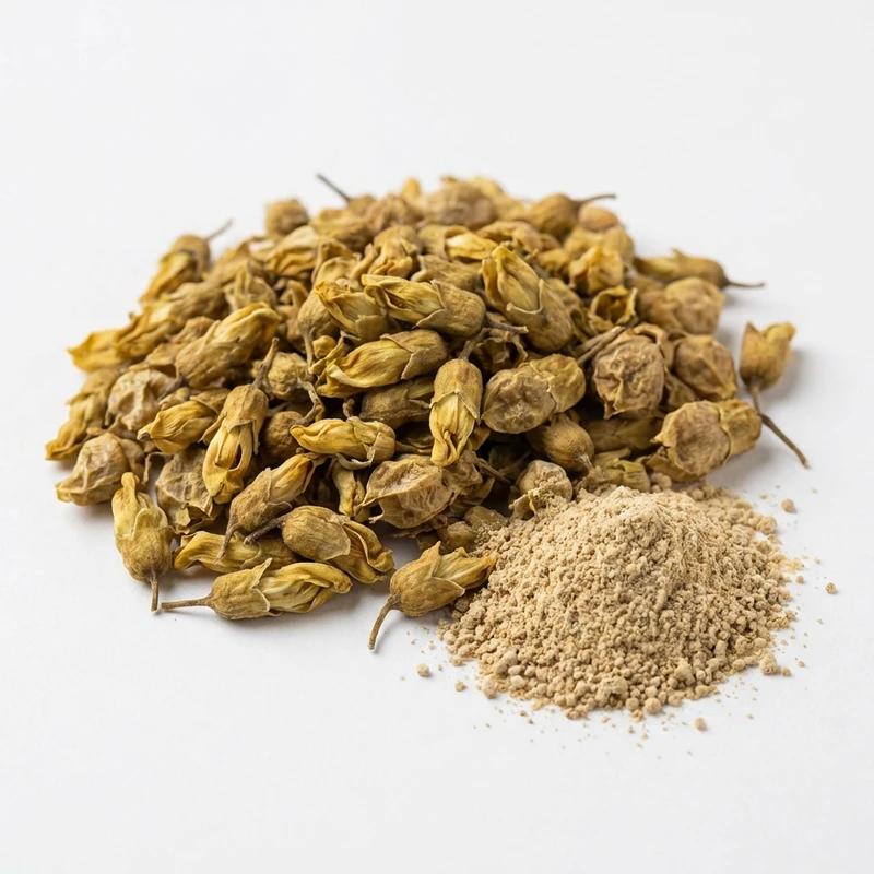 Sophora Japonica Extract — bulk ingredient