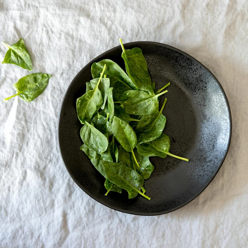 Spinach Leaf Powder — natural source material