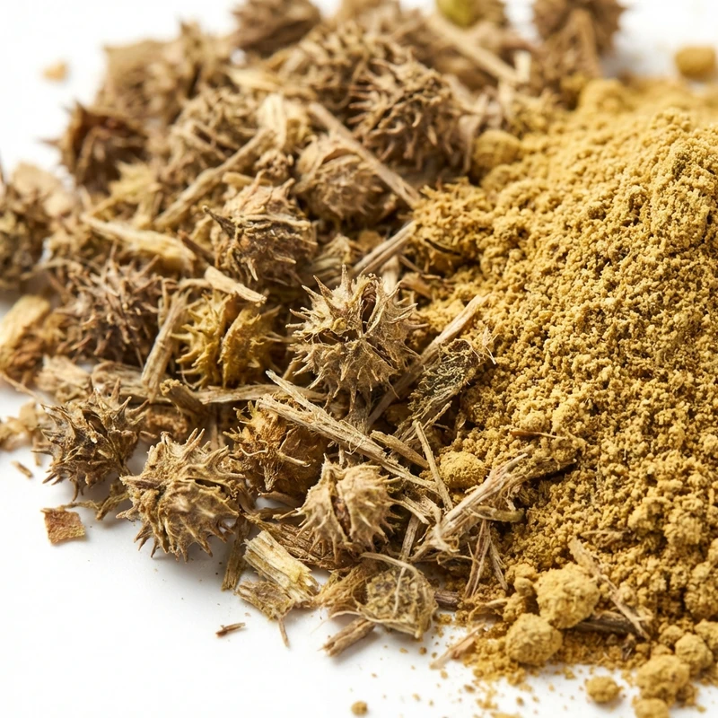 Tribulus Terrestris Extract — bulk ingredient