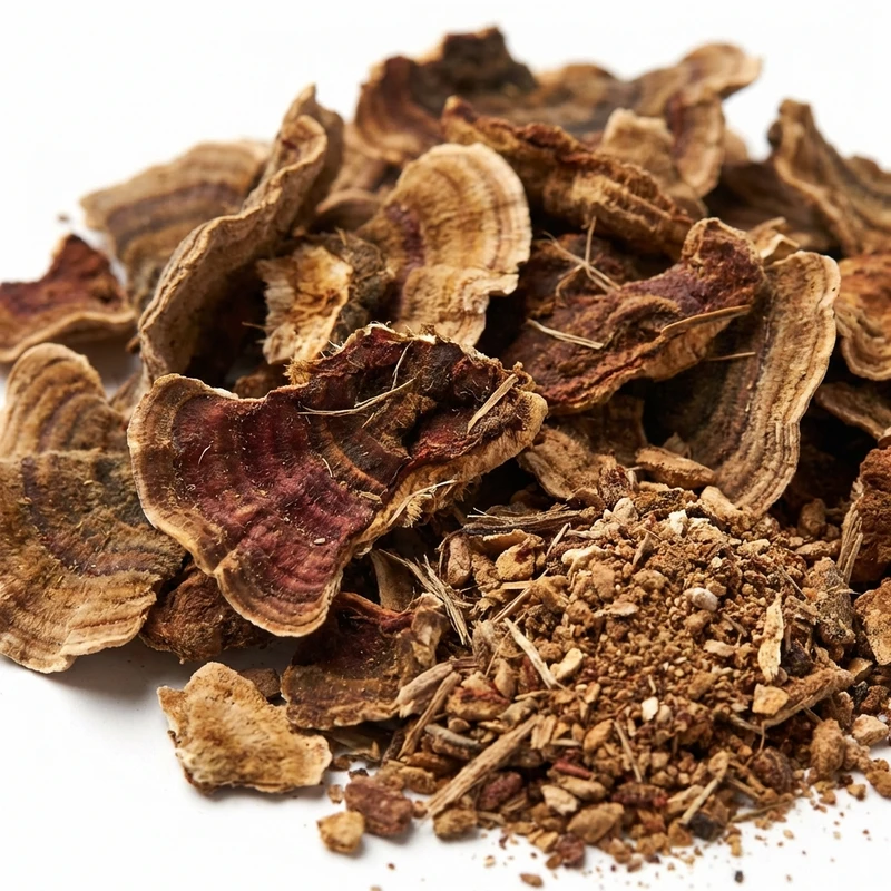 Turkey Tail Extract — bulk ingredient