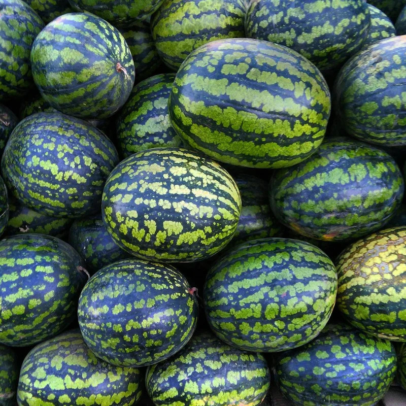 Watermelon — natural source material