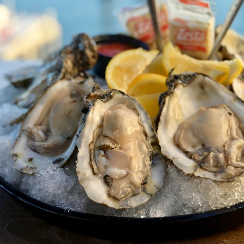 Wild Oyster Meat Powder — natural source material