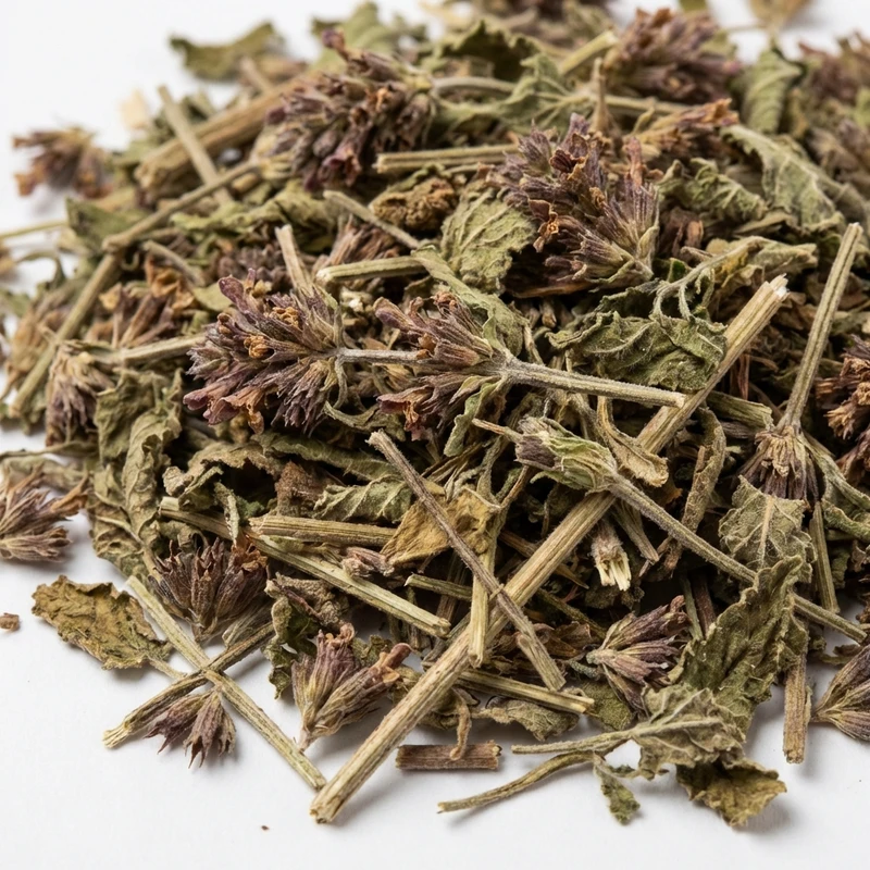 Wood Betony — bulk ingredient